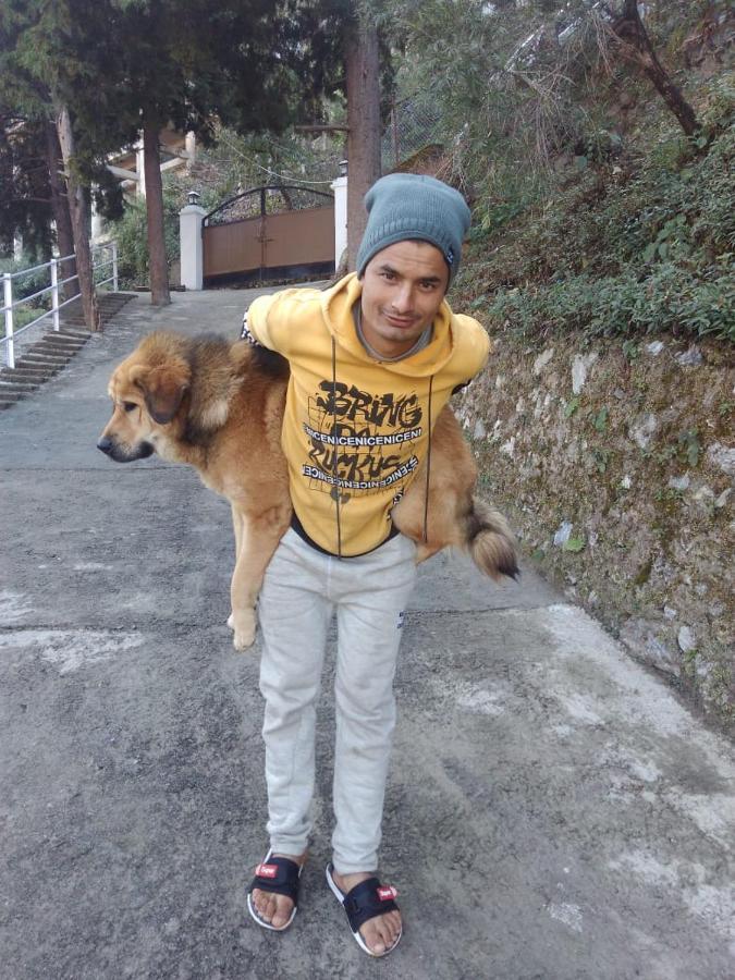 The Brigadiers Cottage, Mussoorie Exterior foto