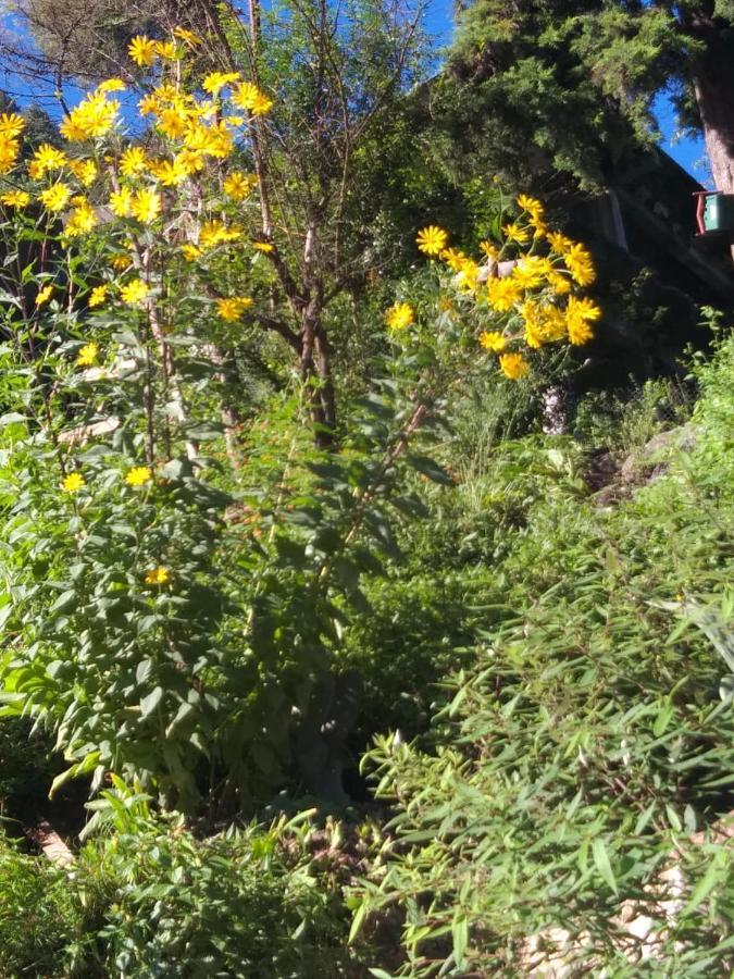 The Brigadiers Cottage, Mussoorie Exterior foto